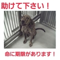 ありがとうございました!