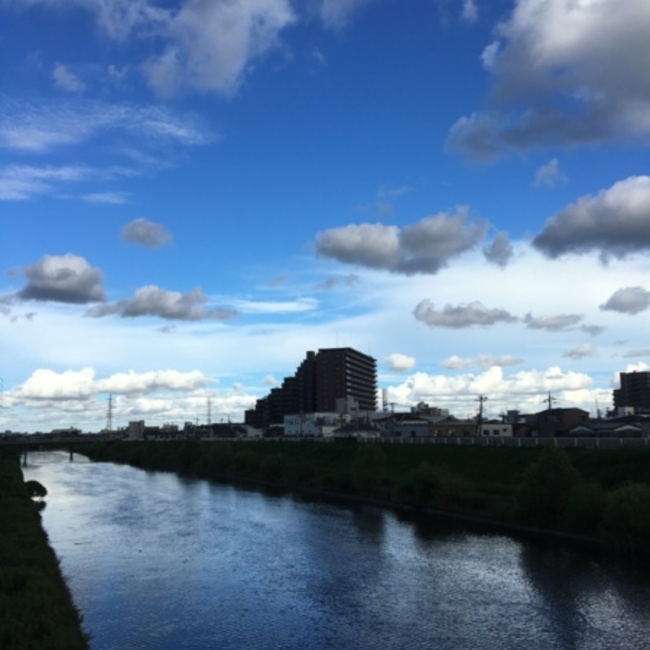 みやおかてっぺいのカバー写真