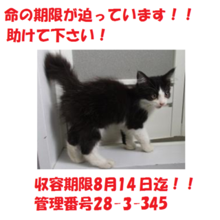 お迎えありがとうございました(#^.^#)