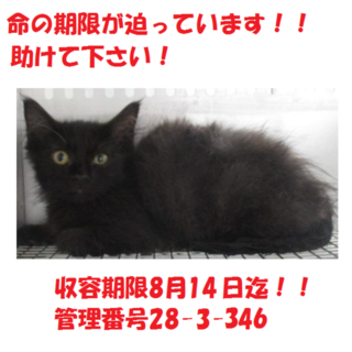 お迎えありがとうございました(#^.^#)