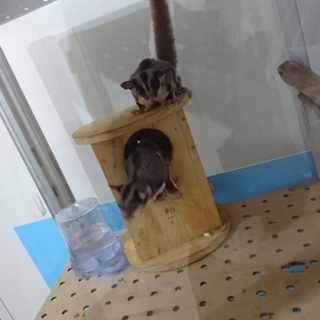 応募が多いため一度応募終了いたします。