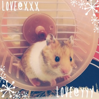 里親さん募集中★