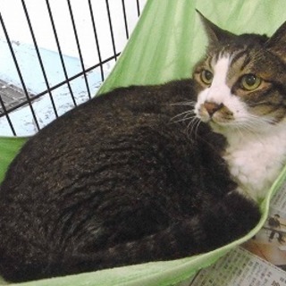 当会にて預かりました。