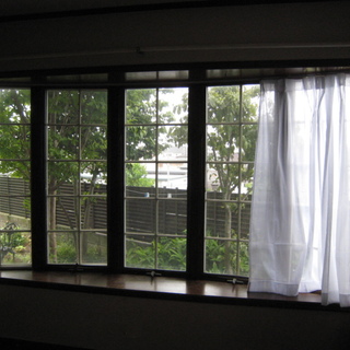 2匹一緒に優しいご家庭の子になりました。