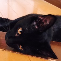 いち