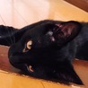 いち