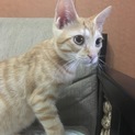 甘えん坊です(^｡^)