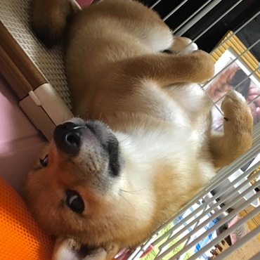 の写真