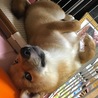 の写真