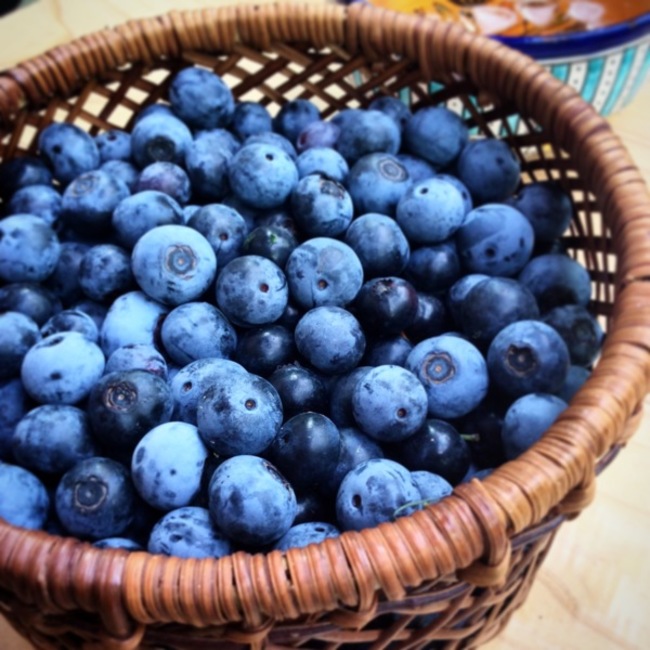 pinkcaravan のカバー写真