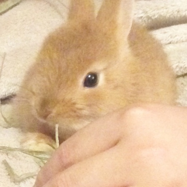 みやちゃん3838のカバー写真