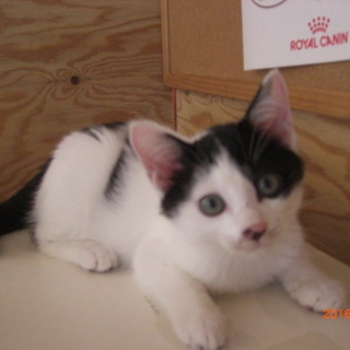 リョウクロちゃんとカタクロ君、３ヶ月