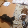 遊ぶ時も一緒にゃ♡