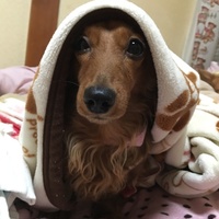 てん