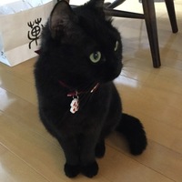 りんご