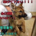 家族ができました！！