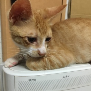 3-4ヵ月の優しい男の子