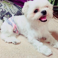 じぇいく