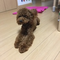 ジョン