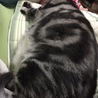 ペーカン