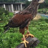 の写真