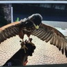 の写真
