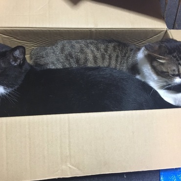 鈴の写真