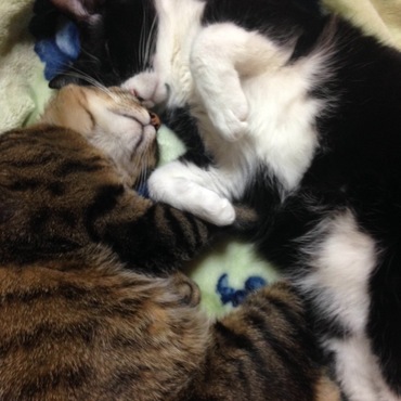 の写真