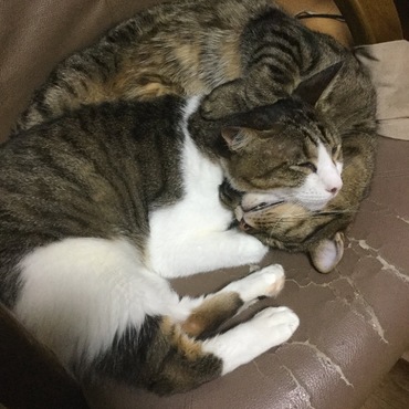 鈴の写真