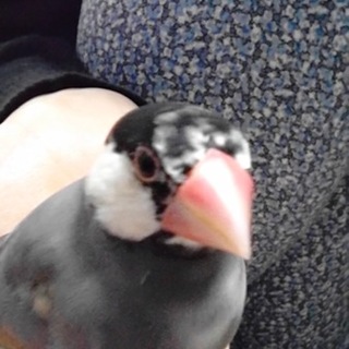 交渉中のため募集停止します