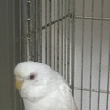 皆さまありがとうございました！
