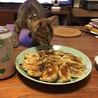 アジ餃子とレオ