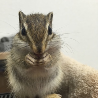 たくさんの応募ありがとうございました☆