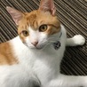 プロフィール用の写真。床でのんびりしている最中の一枚。