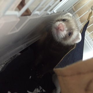 沢山のご連絡ありがとうございました。