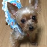 琉華