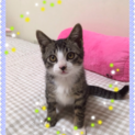 あまえんぼのイケメンくん