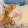 ケイたん
