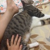 朝から甘えん坊王子♡