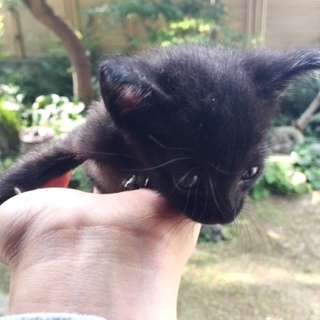 ★未熟児・小さな男の子★