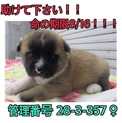 家族が出来ました！