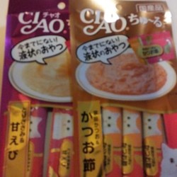 「ちゅーるを拒否された日」サムネイル1