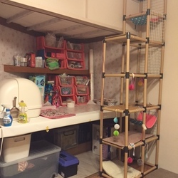 ビやんこのおうち