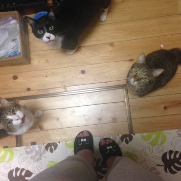 鈴の写真