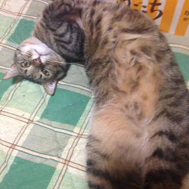 の写真