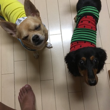 暑い！