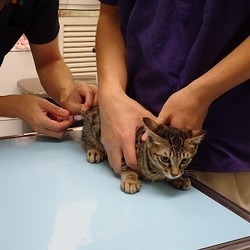 「2回目ワクチン接種に行ってきました。」サムネイル2