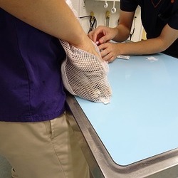 「2回目ワクチン接種に行ってきました。」サムネイル3