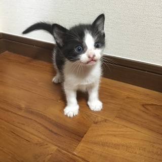 とっても元気でかわいいです！