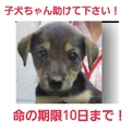 本当にありがとうございました!!